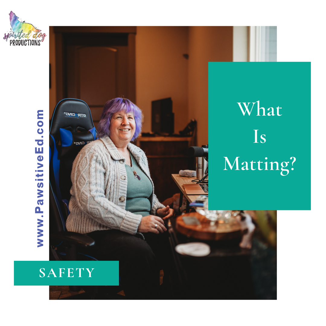 What Do We Mean By Matted Coat?